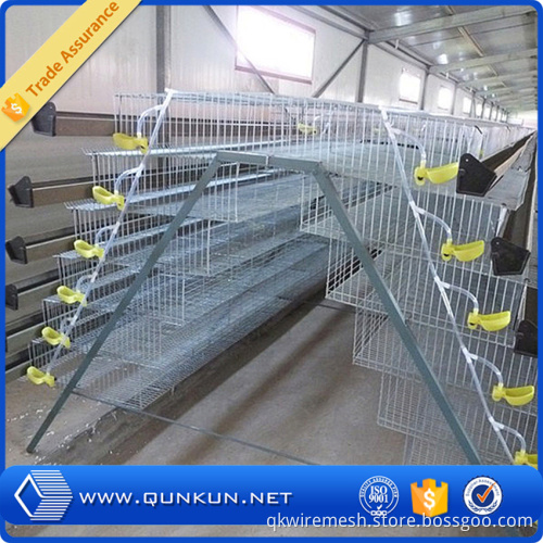 Factory Price Professional Galvanized Quail Cage Sales